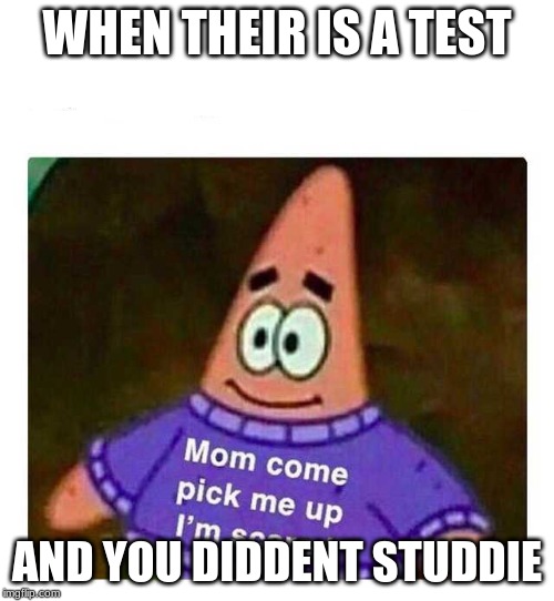 Patrick Mom come pick me up I'm scared | WHEN THEIR IS A TEST; AND YOU DIDDENT STUDDIE | image tagged in patrick mom come pick me up i'm scared | made w/ Imgflip meme maker