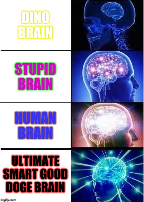 Expanding Brain | DINO BRAIN; STUPID BRAIN; HUMAN BRAIN; ULTIMATE SMART GOOD DOGE BRAIN | image tagged in memes,expanding brain | made w/ Imgflip meme maker