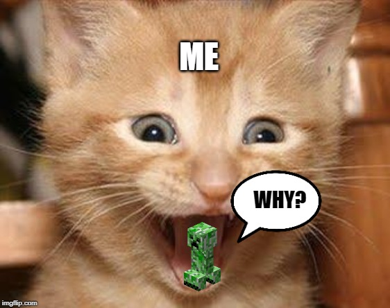 Excited Cat Meme | ME; WHY? | image tagged in memes,excited cat | made w/ Imgflip meme maker