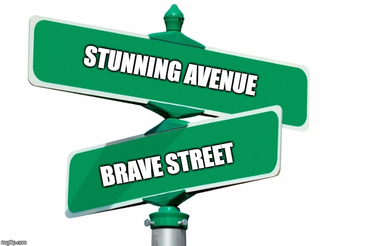 Blank Street Signs | STUNNING AVENUE; BRAVE STREET | image tagged in blank street signs | made w/ Imgflip meme maker