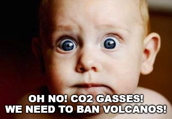 Scared Face | OH NO! CO2 GASSES! WE NEED TO BAN VOLCANOS! | image tagged in scared face | made w/ Imgflip meme maker