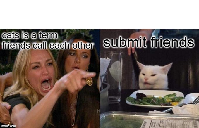 Woman Yelling At Cat | cats is a term friends call each other; submit friends | image tagged in memes,woman yelling at cat | made w/ Imgflip meme maker