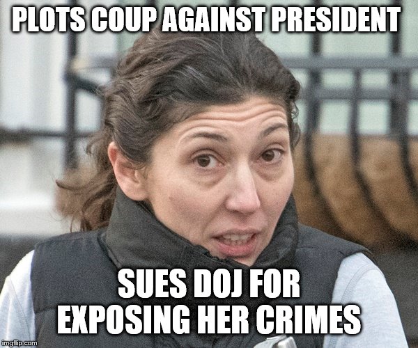 PLOTS COUP AGAINST PRESIDENT; SUES DOJ FOR EXPOSING HER CRIMES | image tagged in trump,deep state | made w/ Imgflip meme maker