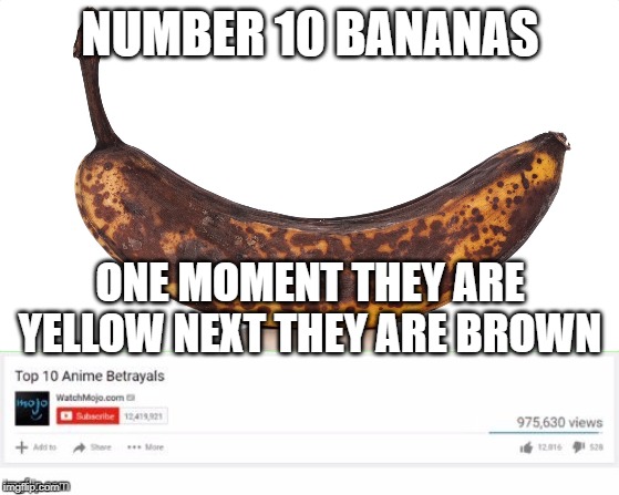 rotten | NUMBER 10 BANANAS; ONE MOMENT THEY ARE YELLOW NEXT THEY ARE BROWN | image tagged in funny memes,memes | made w/ Imgflip meme maker