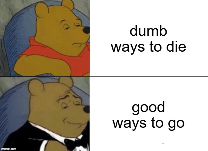 Tuxedo Winnie The Pooh | dumb ways to die; good ways to go | image tagged in memes,tuxedo winnie the pooh | made w/ Imgflip meme maker