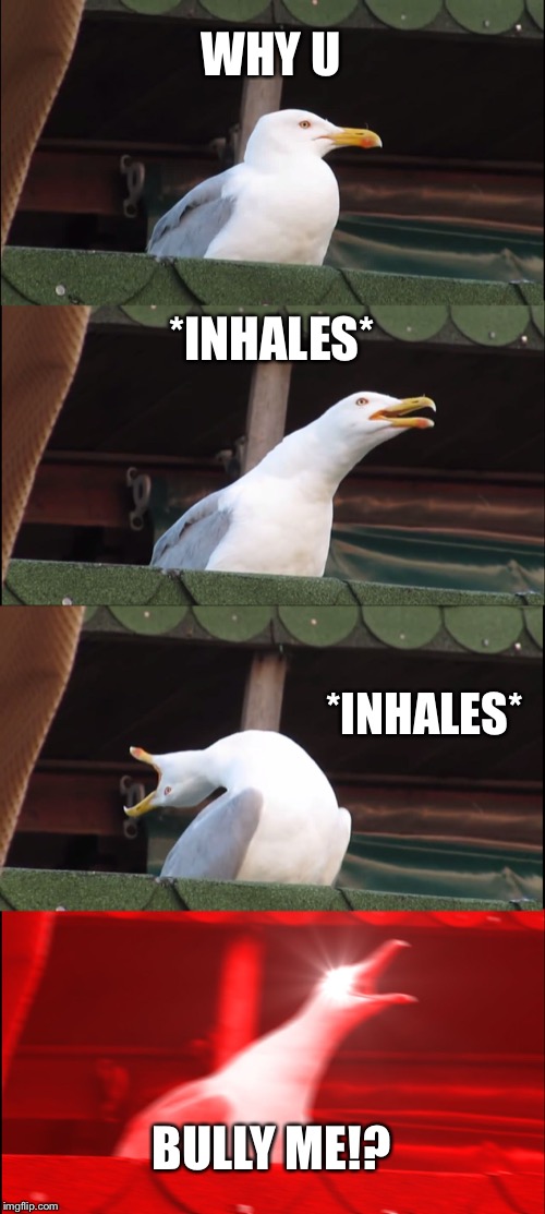 Inhaling Seagull | WHY U; *INHALES*; *INHALES*; BULLY ME!? | image tagged in memes,inhaling seagull,why u bully me,e | made w/ Imgflip meme maker