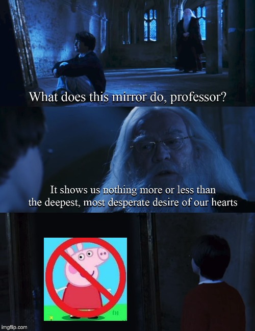 Harry potter mirror | image tagged in harry potter mirror | made w/ Imgflip meme maker