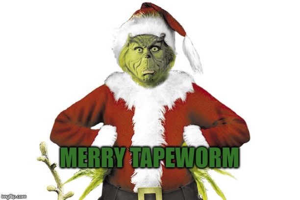 I'll be Sick for Christmas | MERRY TAPEWORM | image tagged in tapeworm,flex tape,the grinch,holiday cheer,food for thought,sushi | made w/ Imgflip meme maker
