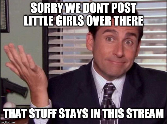 Michael Scott | SORRY WE DONT POST LITTLE GIRLS OVER THERE THAT STUFF STAYS IN THIS STREAM | image tagged in michael scott | made w/ Imgflip meme maker