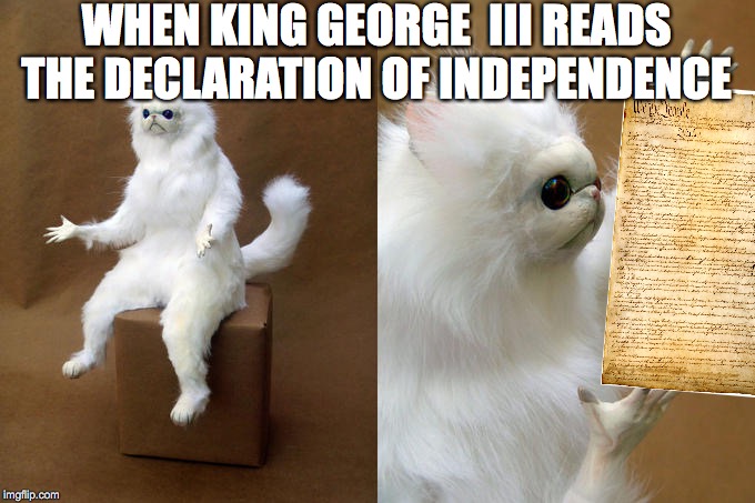 Persian Cat Room Guardian | WHEN KING GEORGE  III READS THE DECLARATION OF INDEPENDENCE | image tagged in memes,persian cat room guardian | made w/ Imgflip meme maker