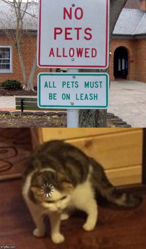 NO PETS ALLOWED, but keep them on a leash. | image tagged in cat loading,cats,stupid signs,pets | made w/ Imgflip meme maker