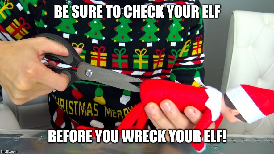 BE SURE TO CHECK YOUR ELF; BEFORE YOU WRECK YOUR ELF! | image tagged in elf,christmas,funny | made w/ Imgflip meme maker