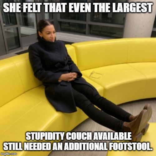 SHE FELT THAT EVEN THE LARGEST; STUPIDITY COUCH AVAILABLE STILL NEEDED AN ADDITIONAL FOOTSTOOL. | image tagged in sofa | made w/ Imgflip meme maker
