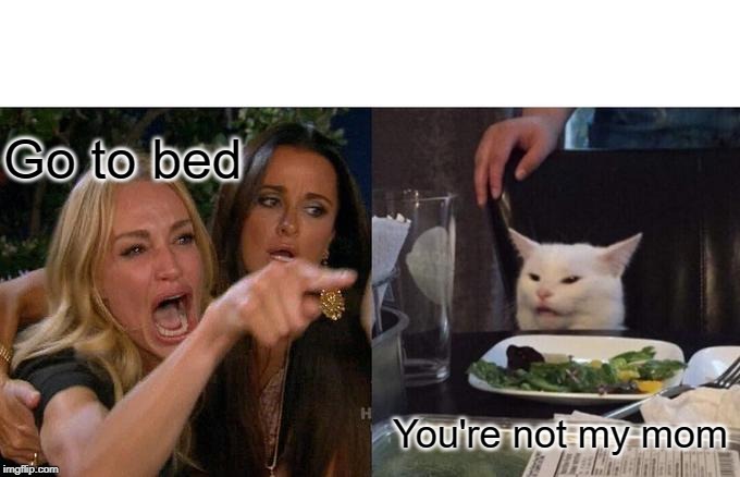 Woman Yelling At Cat | Go to bed; You're not my mom | image tagged in memes,woman yelling at cat | made w/ Imgflip meme maker
