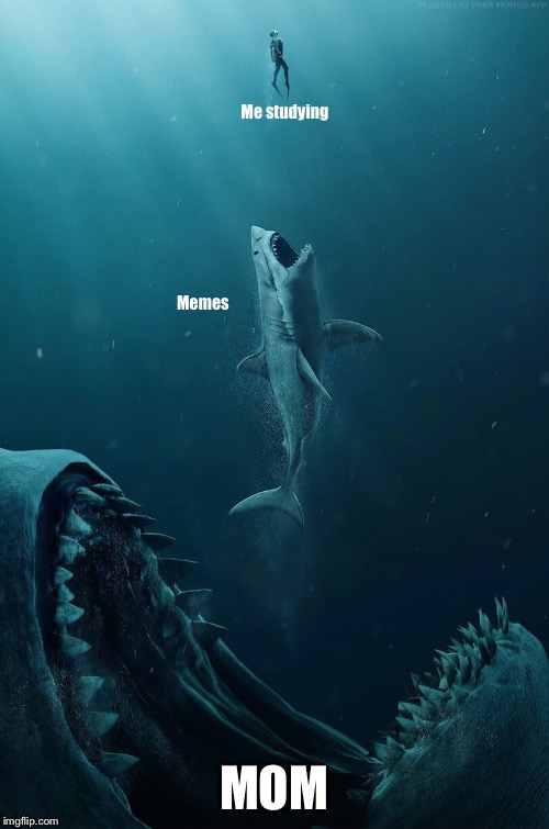 Megalodon | Me studying; Memes; MOM | image tagged in megalodon | made w/ Imgflip meme maker