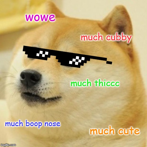 Doge | wowe; much cubby; much thiccc; much boop nose; much cute | image tagged in memes,doge | made w/ Imgflip meme maker