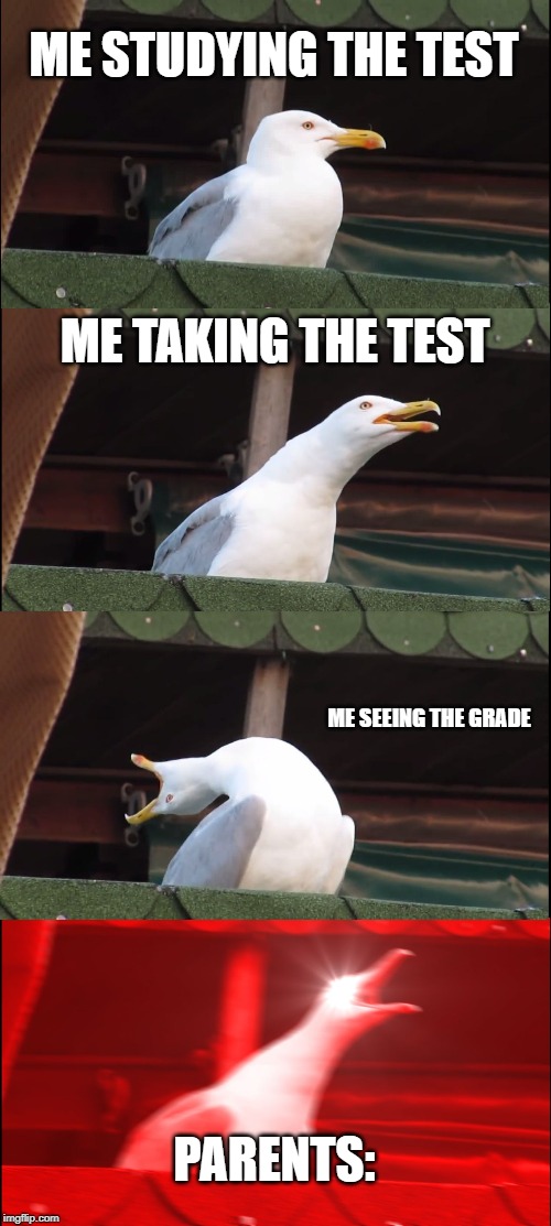 Inhaling Seagull | ME STUDYING THE TEST; ME TAKING THE TEST; ME SEEING THE GRADE; PARENTS: | image tagged in memes,inhaling seagull | made w/ Imgflip meme maker