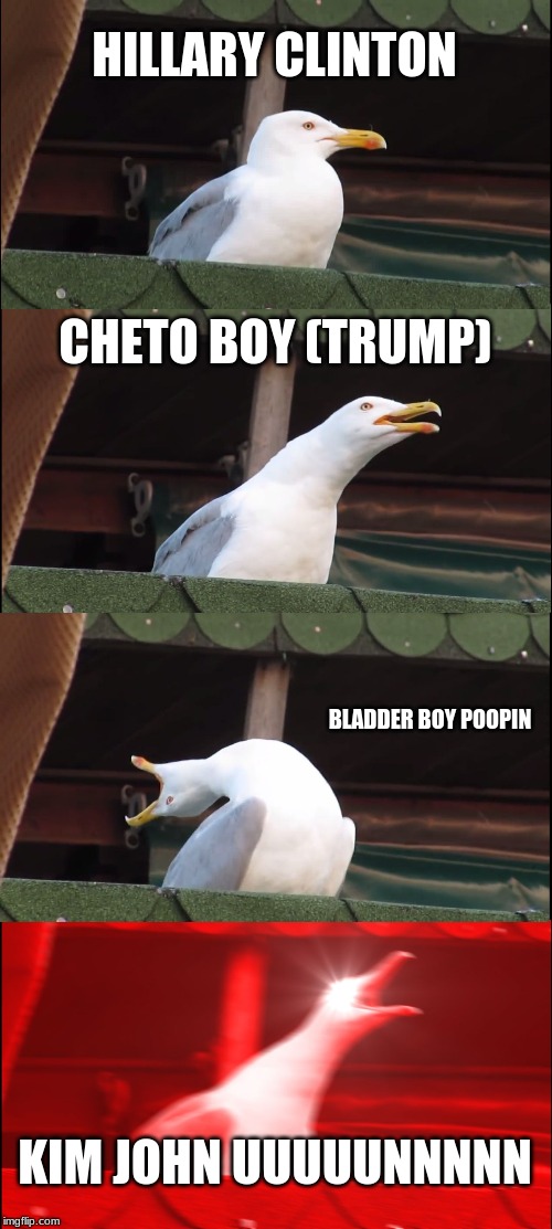 Inhaling Seagull | HILLARY CLINTON; CHETO BOY (TRUMP); BLADDER BOY POOPIN; KIM JOHN UUUUUNNNNN | image tagged in memes,inhaling seagull | made w/ Imgflip meme maker