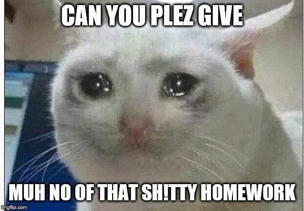 crying cat | CAN YOU PLEZ GIVE; MUH NO OF THAT SH!TTY HOMEWORK | image tagged in crying cat | made w/ Imgflip meme maker