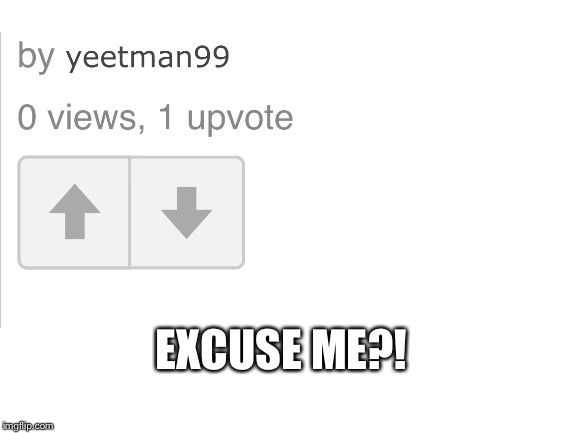 EXCUSE ME?! | image tagged in nani,ghost | made w/ Imgflip meme maker