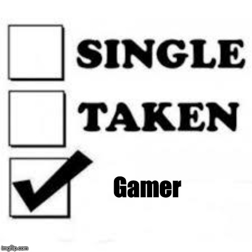 Single Taken Priorities | Gamer | image tagged in single taken priorities | made w/ Imgflip meme maker