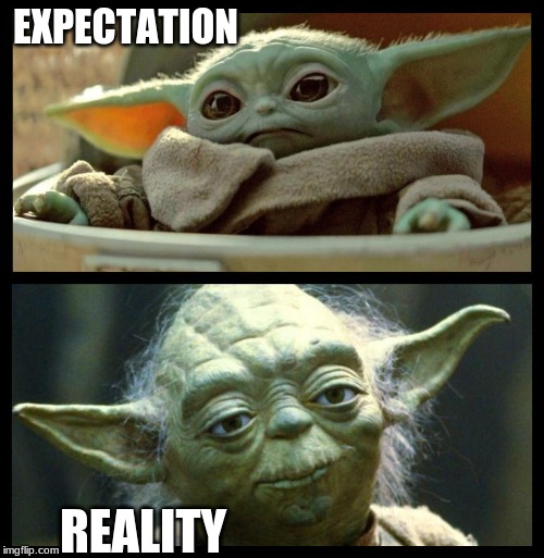 baby yoda | EXPECTATION; REALITY | image tagged in baby yoda | made w/ Imgflip meme maker