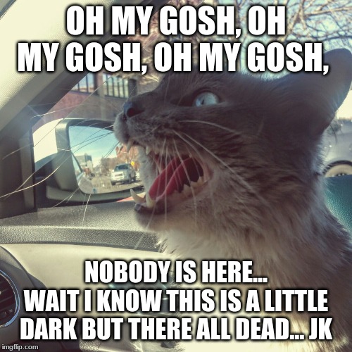 Correct me in chats if I'm wrong! | OH MY GOSH, OH MY GOSH, OH MY GOSH, NOBODY IS HERE...
WAIT I KNOW THIS IS A LITTLE DARK BUT THERE ALL DEAD... JK | image tagged in panicking cat | made w/ Imgflip meme maker