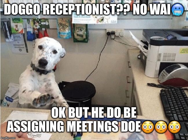 Dog Receptionist | DOGGO RECEPTIONIST?? NO WAI🥶; OK BUT HE DO BE ASSIGNING MEETINGS DOE😳😳😳 | image tagged in dog receptionist | made w/ Imgflip meme maker