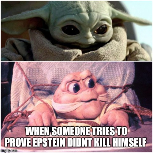 baby yoda | WHEN SOMEONE TRIES TO PROVE EPSTEIN DIDNT KILL HIMSELF | image tagged in baby yoda | made w/ Imgflip meme maker