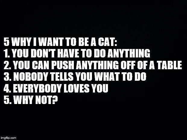 Reasons to be a Cat | 5 WHY I WANT TO BE A CAT:

1. YOU DON'T HAVE TO DO ANYTHING
2. YOU CAN PUSH ANYTHING OFF OF A TABLE
3. NOBODY TELLS YOU WHAT TO DO
4. EVERYBODY LOVES YOU
5. WHY NOT? | image tagged in black background,cats,5 | made w/ Imgflip meme maker