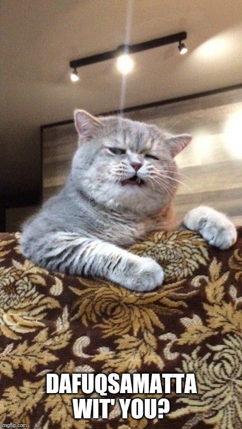 Aw, crap! Cat face | DAFUQSAMATTA WIT' YOU? | image tagged in aw crap cat face | made w/ Imgflip meme maker