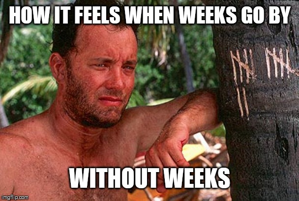 Tom Hanks Castaway tree | HOW IT FEELS WHEN WEEKS GO BY; WITHOUT WEEKS | image tagged in tom hanks castaway tree | made w/ Imgflip meme maker