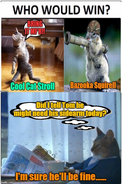 It's good to be the boss | Did I tell Tom he might need his sidearm today? I'm sure he'll be fine...... | image tagged in bazooka squirrel,cool cat stroll,management,hazardous duty,funny memes | made w/ Imgflip meme maker