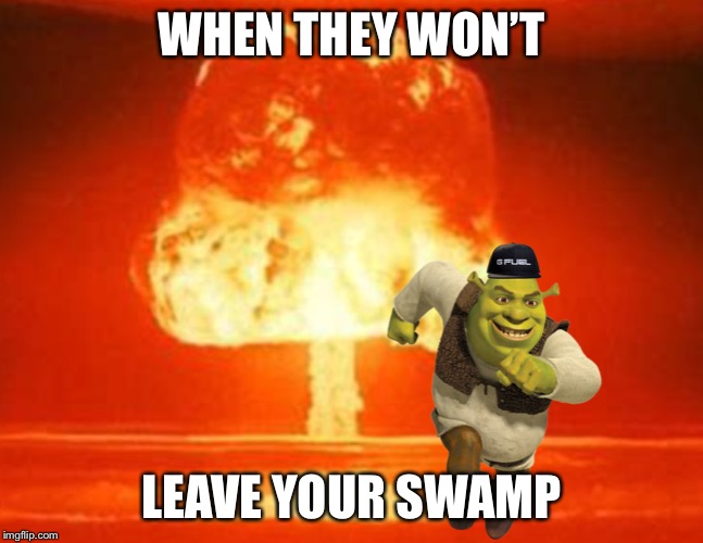 Pyromaniac Shrek | WHEN THEY WON’T; LEAVE YOUR SWAMP | image tagged in pyromaniac shrek | made w/ Imgflip meme maker