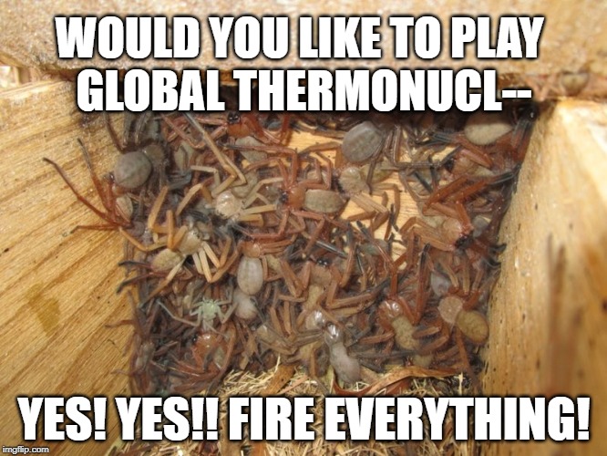 Huntsman Spiders in Box | WOULD YOU LIKE TO PLAY 
GLOBAL THERMONUCL--; YES! YES!! FIRE EVERYTHING! | image tagged in huntsman spiders in box | made w/ Imgflip meme maker