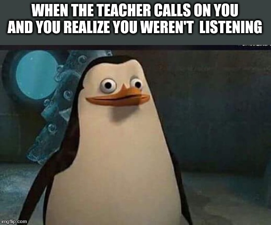 Madagascar penguin | WHEN THE TEACHER CALLS ON YOU AND YOU REALIZE YOU WEREN'T  LISTENING | image tagged in madagascar penguin | made w/ Imgflip meme maker