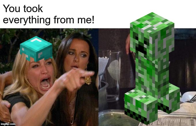 Woman Yelling At Cat | You took everything from me! | image tagged in memes,woman yelling at cat | made w/ Imgflip meme maker