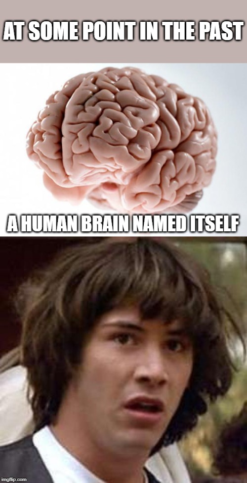 Mind blown...think about it! | AT SOME POINT IN THE PAST; A HUMAN BRAIN NAMED ITSELF | image tagged in memes,conspiracy keanu,scumbag brain | made w/ Imgflip meme maker