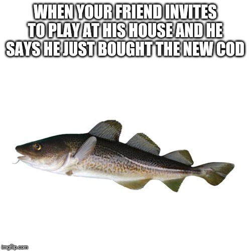 Blank Transparent Square Meme | WHEN YOUR FRIEND INVITES TO PLAY AT HIS HOUSE AND HE SAYS HE JUST BOUGHT THE NEW COD | image tagged in memes,blank transparent square | made w/ Imgflip meme maker