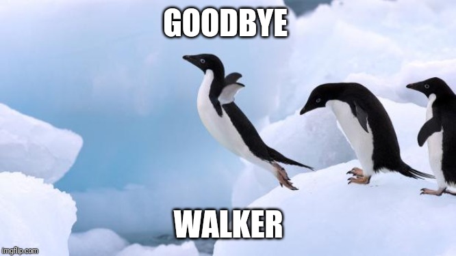 flying penguin | GOODBYE WALKER | image tagged in flying penguin | made w/ Imgflip meme maker