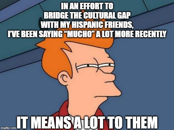 mucho | IN AN EFFORT TO BRIDGE THE CULTURAL GAP WITH MY HISPANIC FRIENDS, I’VE BEEN SAYING “MUCHO” A LOT MORE RECENTLY; IT MEANS A LOT TO THEM | image tagged in memes,futurama fry | made w/ Imgflip meme maker