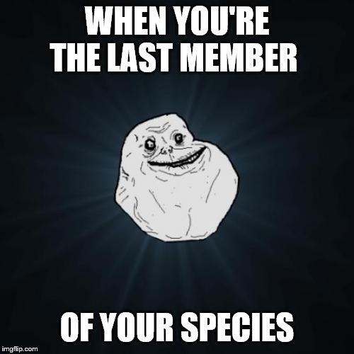 Forever Alone | WHEN YOU'RE THE LAST MEMBER; OF YOUR SPECIES | image tagged in memes,forever alone | made w/ Imgflip meme maker