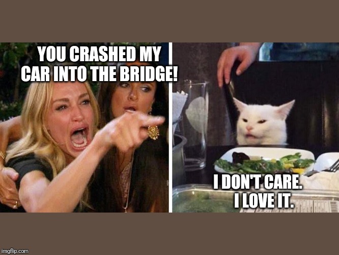 Smudge the cat | YOU CRASHED MY CAR INTO THE BRIDGE! I DON'T CARE.     I LOVE IT. | image tagged in smudge the cat | made w/ Imgflip meme maker