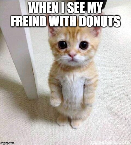 Cute Cat | WHEN I SEE MY FREIND WITH DONUTS | image tagged in memes,cute cat | made w/ Imgflip meme maker