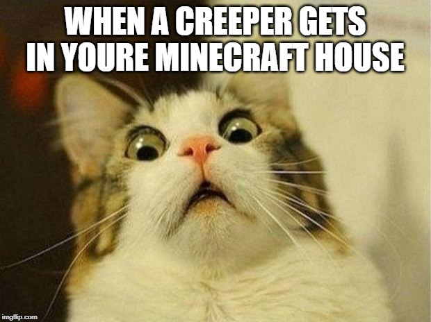 Scared Cat Meme | WHEN A CREEPER GETS IN YOURE MINECRAFT HOUSE | image tagged in memes,scared cat | made w/ Imgflip meme maker