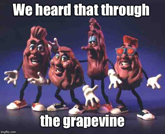 California Raisins | We heard that through the grapevine | image tagged in california raisins | made w/ Imgflip meme maker