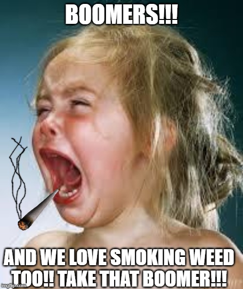 Crying Baby | BOOMERS!!! AND WE LOVE SMOKING WEED TOO!! TAKE THAT BOOMER!!! | image tagged in crying baby | made w/ Imgflip meme maker