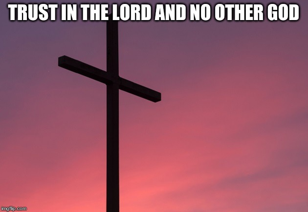 TRUST IN THE LORD AND NO OTHER GOD | image tagged in trust in god,holy bible | made w/ Imgflip meme maker