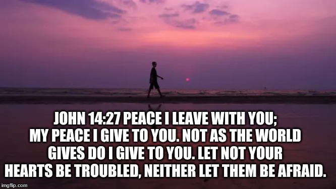 JOHN 14:27 PEACE I LEAVE WITH YOU; MY PEACE I GIVE TO YOU. NOT AS THE WORLD GIVES DO I GIVE TO YOU. LET NOT YOUR HEARTS BE TROUBLED, NEITHER LET THEM BE AFRAID. | image tagged in peace | made w/ Imgflip meme maker