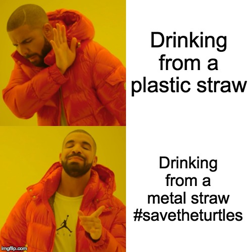 Drake Hotline Bling Meme | Drinking from a plastic straw; Drinking from a metal straw #savetheturtles | image tagged in memes,drake hotline bling | made w/ Imgflip meme maker